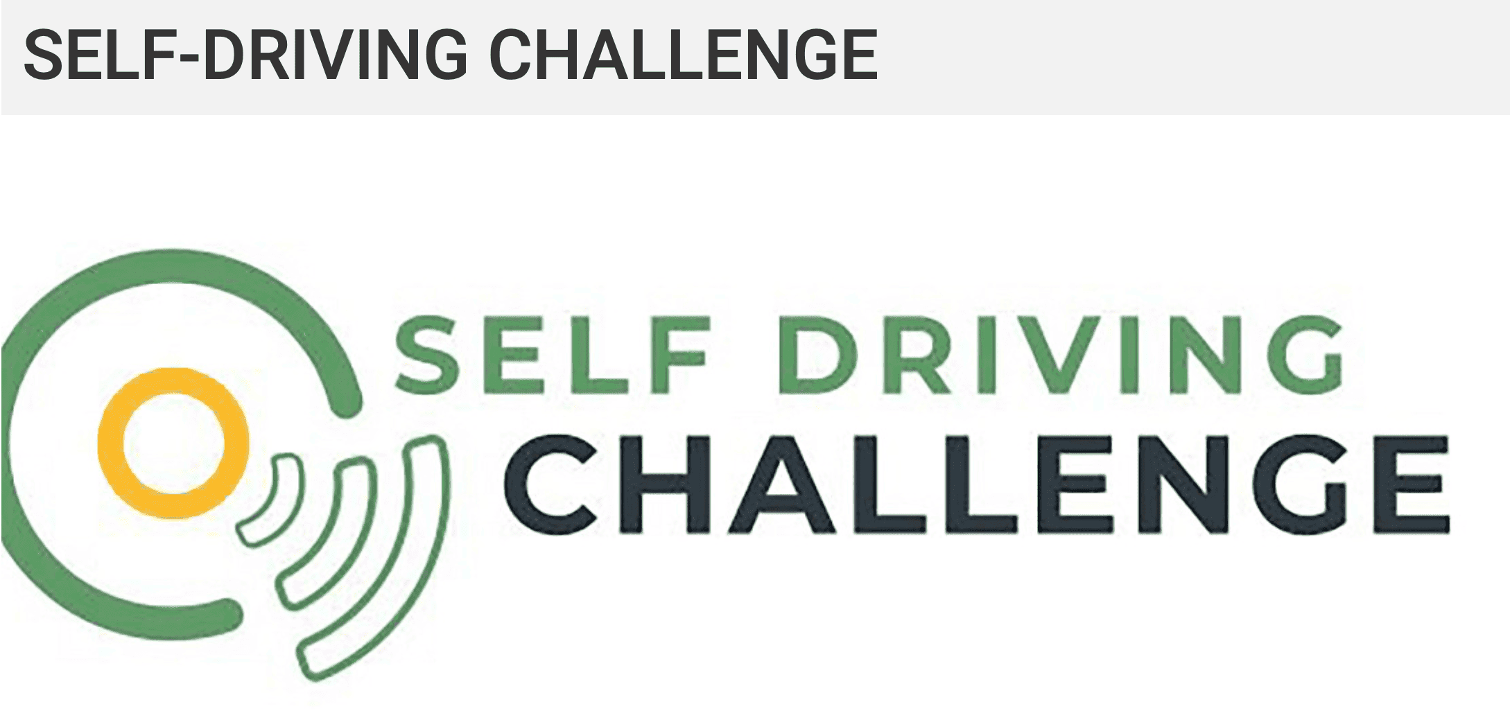 Self Drive Challenge team logo