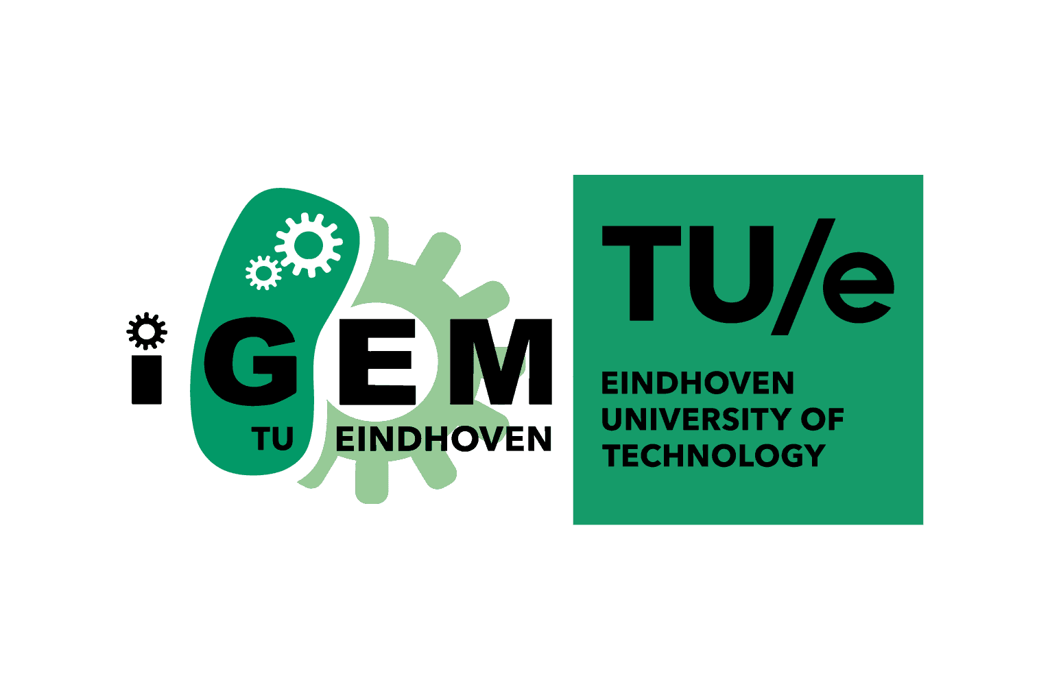 iGEM logo